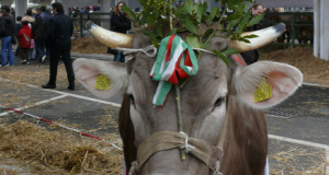 Lombardia Carne, foto d'archivio