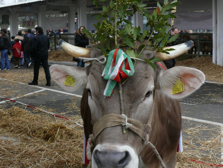Lombardia Carne, foto d'archivio