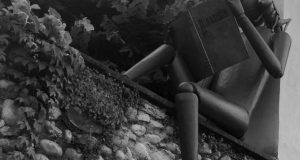 Il nuovo simbolo della Biblioteca di Rovato