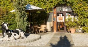 L'ingresso di Gina, a Rovato