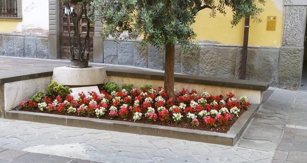 Fiori, foto da pagina Facebook Comune di Rovato